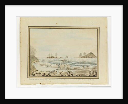 Opp. p. 195. Part of the Reef in Sydney Bay, Norfolk Island, on which the Sirius was wreck'd. 19 March 1790., c.1802 by William Bradley