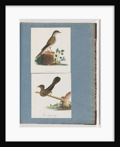 Page 115. Unidentified Bird. 116. Bell, miner by Unknown artist