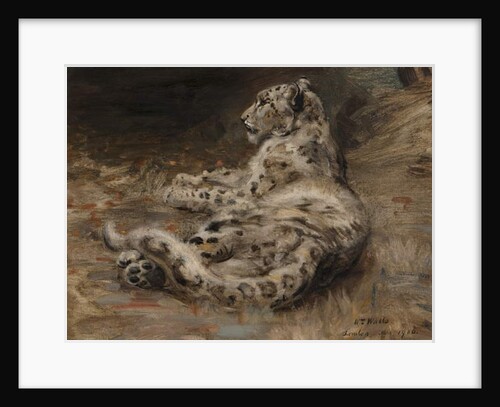 A Leopard, 1906 by William Walls