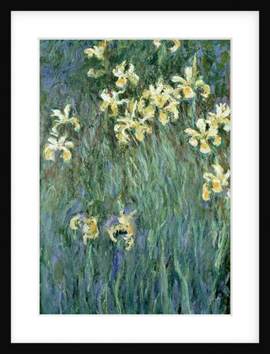 The Yellow Irises by Claude Monet