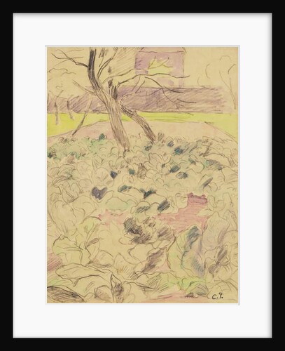 The Cabbage Field, c.1880 by Camille Pissarro