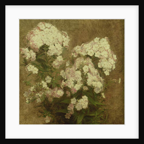 Phlox, 1870 by Ignace Henri Jean Fantin-Latour