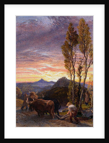 Oxen Ploughing at Sunset by Samuel Palmer
