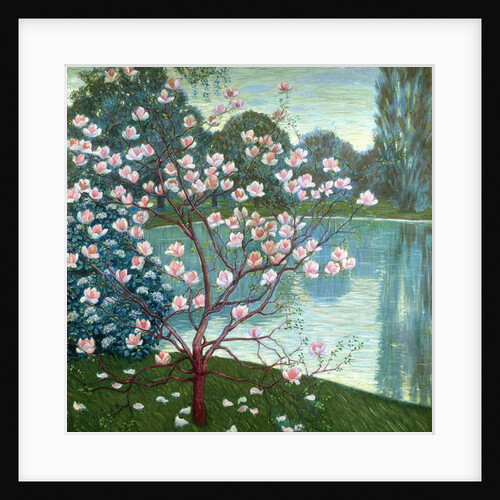 Magnolia by Wilhelm List