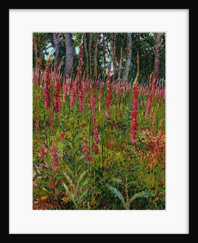 Foxgloves, c.1916 by Georges Lacombe