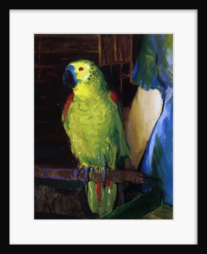 Parrot, 1915 by George Wesley Bellows