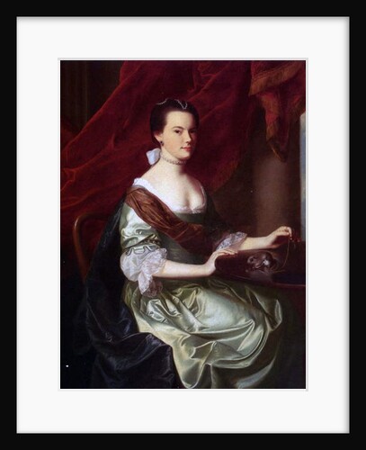 Mrs Theodore Atkinson Jr., 1765 by John Singleton Copley