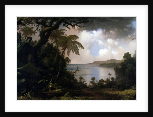 Jamaica, View from Fern-Tree Walk, 1887 by Martin Johnson Heade