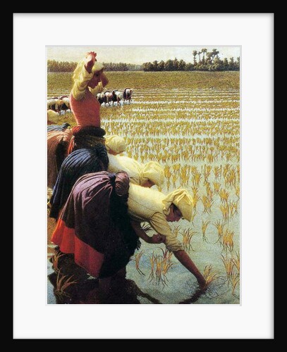 An Italian Rice Field, 1901 by Angelo Morbelli