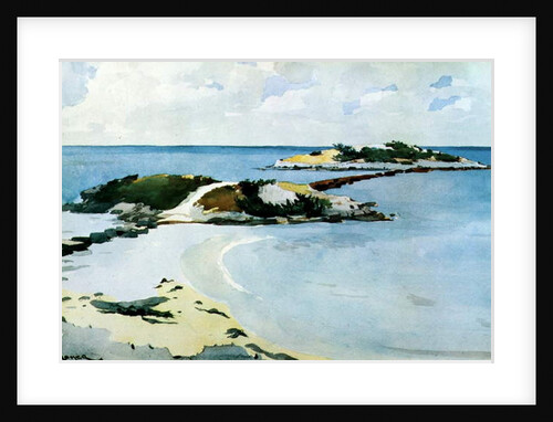 The Favorite, 1899-1901 by Winslow Homer