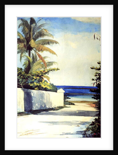 Road in Nassau, 1898-99 by Winslow Homer