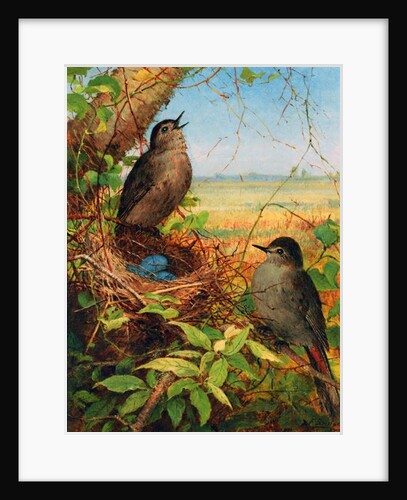 Thrushes by their nest by Fidelia Bridges