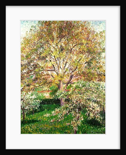 Trees in Bloom at Eragny, 1895 by Camille Pissarro