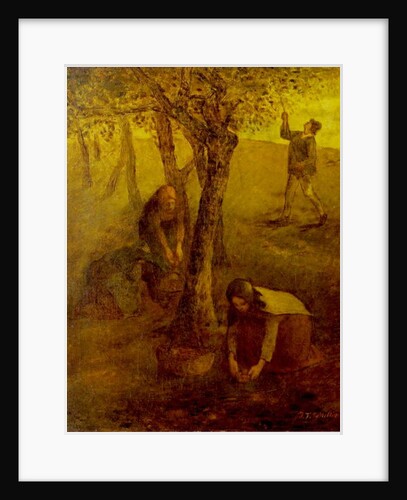 Gathering Apples by Jean Francois I Millet