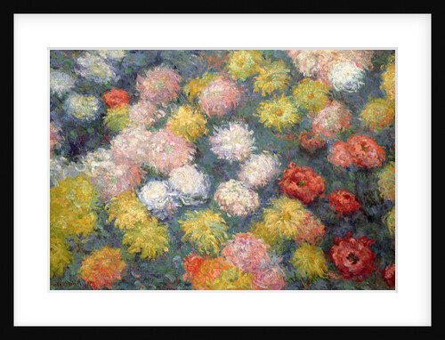 Chrysanthemums, 1897 by Claude Monet