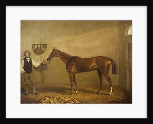 Bravissimo, Winner of the Monmouthshire Hunt Cup at Abergavenny by James Flewitt Mullock