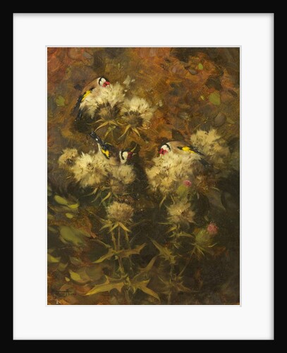 Goldfinches Feeding by Andrew Allan