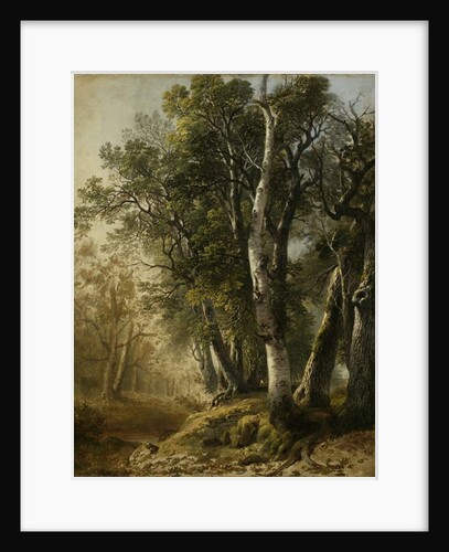 Trees by the Brookside, Kingston, N.Y., 1846 by Asher Brown Durand