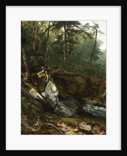 Study from Nature: Rocks and Trees in the Catskills, N.Y., 1856 by Asher Brown Durand