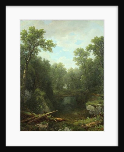 Chapel Pond Brook, Keene Flats, Adirondack Mountains, New York, 1871 by Asher Brown Durand