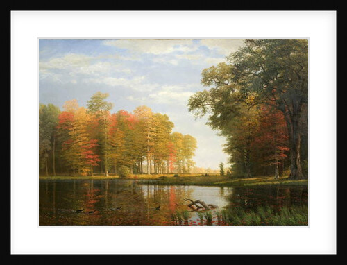 Autumn Woods, 1886 by Albert Bierstadt