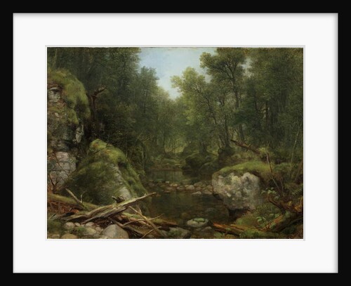 Chapel Pond Brook, Keene Flats, Adirondack Mountains, N.Y., 1870 by Asher Brown Durand