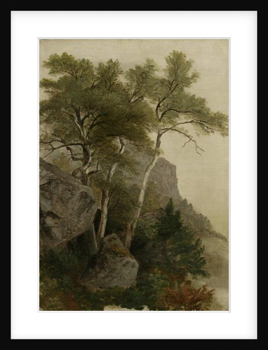 Landscape, 1855 by Asher Brown Durand