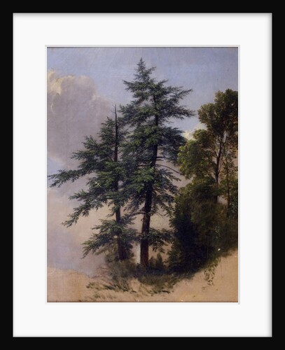 Tree Study, Newburgh, N.Y., 1849 by Asher Brown Durand