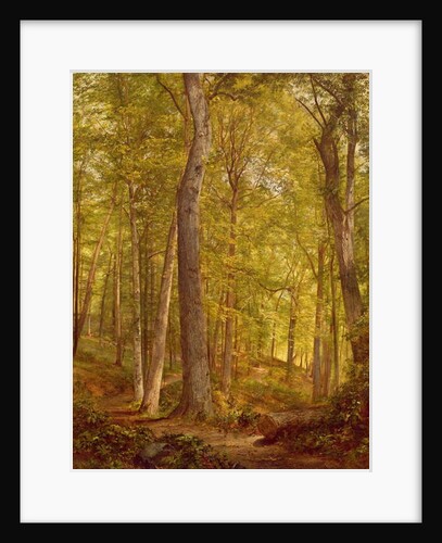 June Woods, Pennsylvania, 1864 by William Trost Richards