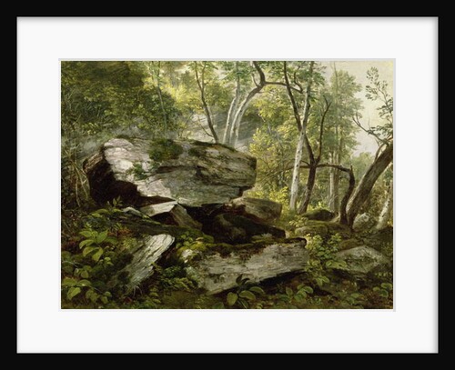 Study from Nature: Rocks and Trees, c.1856 by Asher Brown Durand