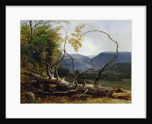 Study from Nature, Stratton Notch, Vermont, 1853 by Asher Brown Durand
