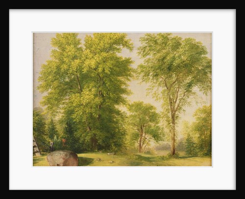 Study from Nature, Hoboken, New Jersey, c.1834 by Asher Brown Durand