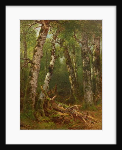 Group of Trees, 1855-77 by Asher Brown Durand