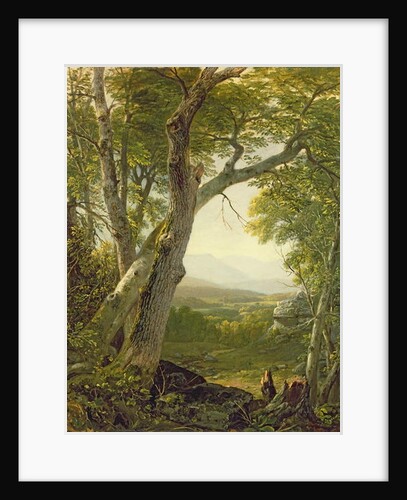 Shandaken Ridge, Kingston, New York, c.1854 by Asher Brown Durand