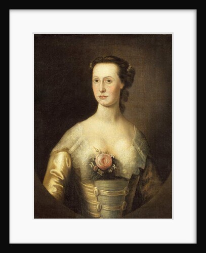 Mrs Philip John Schuyler by Thomas McIlworth