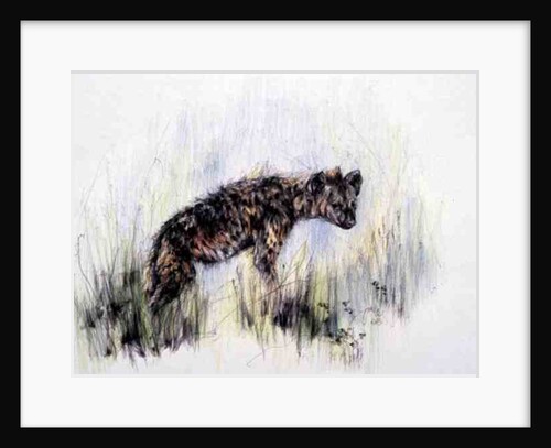 Baby Hyena, 1995 by Odile Kidd