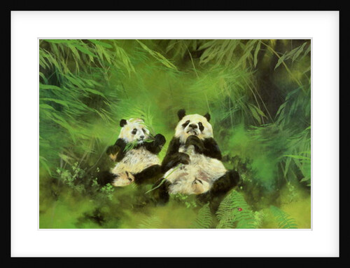 Pandas, 1998 by Odile Kidd
