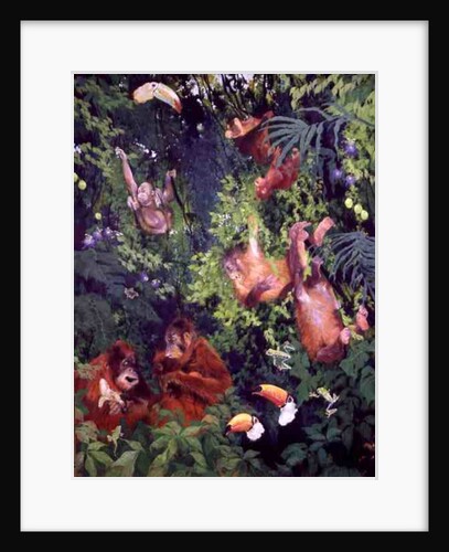Orangutangs and Toucans, 1998 by Odile Kidd