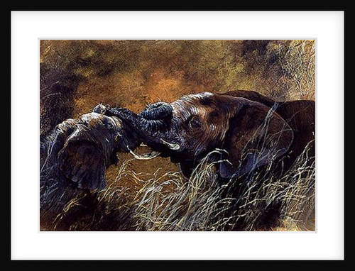 Bundu, 1998 by Odile Kidd