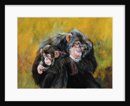 Chimpanzees by Odile Kidd