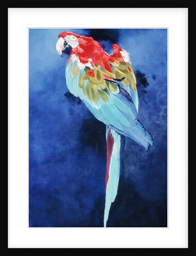 Red and Blue Macaw, 2002 by Odile Kidd