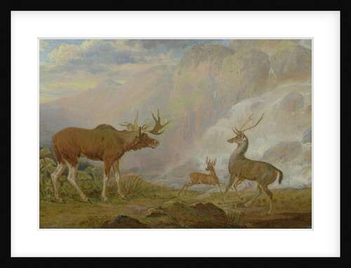 Earl of Orford's Elk, Antelope and Stag by George Garrard