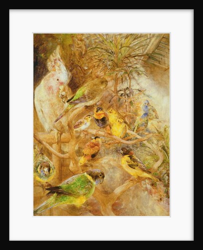 Bird Aviary, 1871 by William Huggins