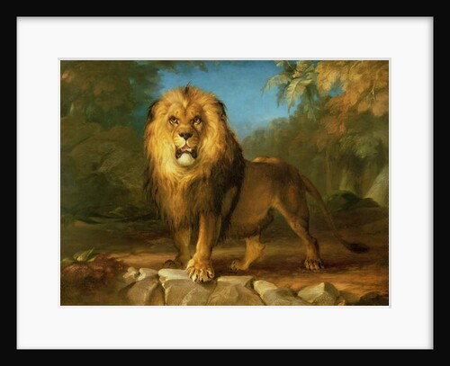 A Lion, 1840 by William Huggins