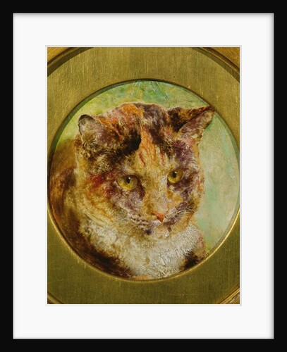 Study of a Tortoiseshell Cat by William Huggins