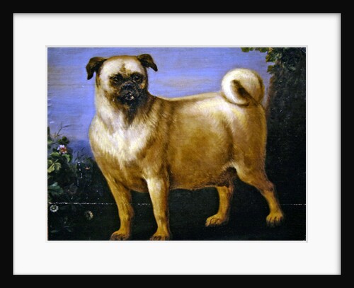 A Pug in a Landscape by John Wootton