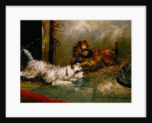 Terriers Playing by George Armfield
