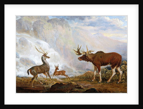 The Earl of Orford's elk from Norway. antelope from Africa and stag from Prince's island by George Garrard