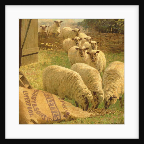 Sheep feeding from an upturned grain bag by William Gunning King