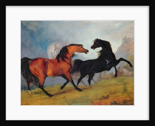 Horses fighting by Sawrey Gilpin